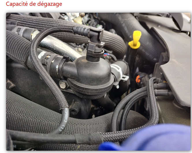 Capacité de dégazage universelle LDR – Citroën Peugeot Jaguar – Même pièce